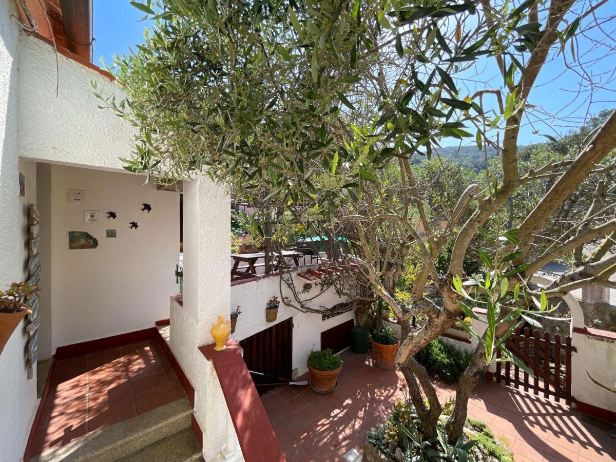 Appartamento Pianeta Mare - B&B Portoferraio