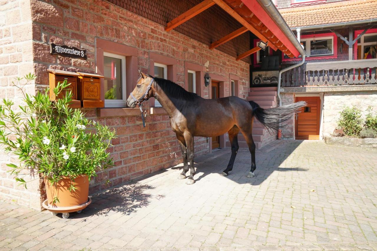 Trommglück - Chambres d’hôtes Gras-Ellenbach