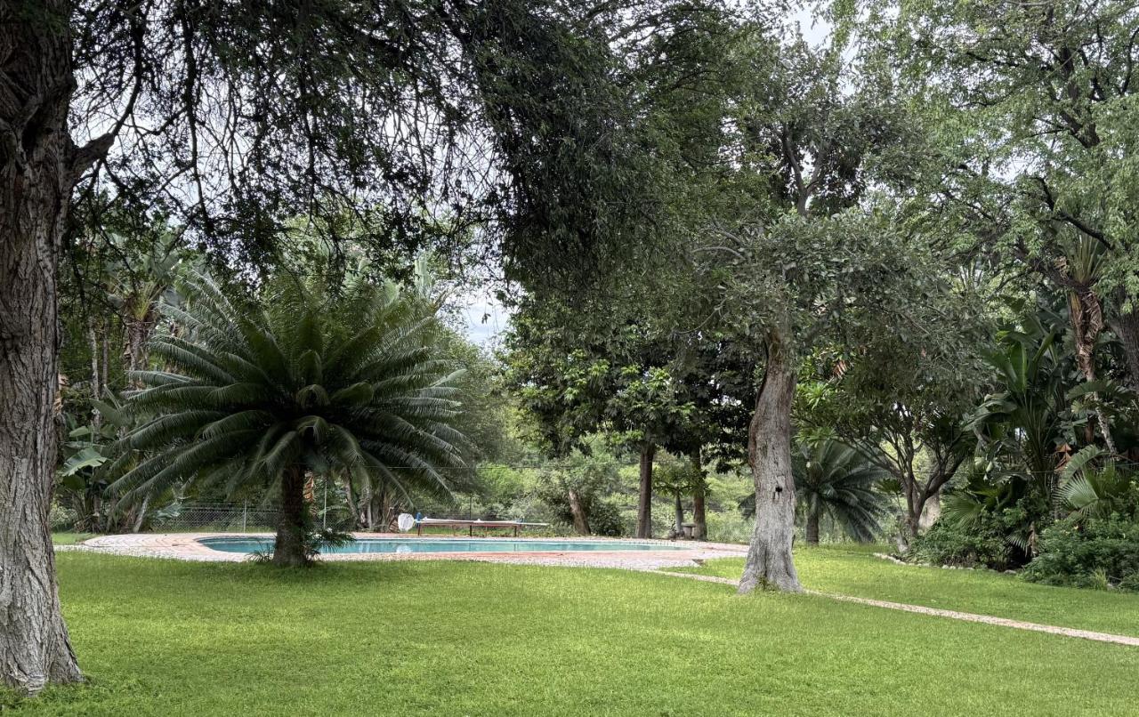 Kaalkraal Safari Lodge - Bed and Breakfast Alldays