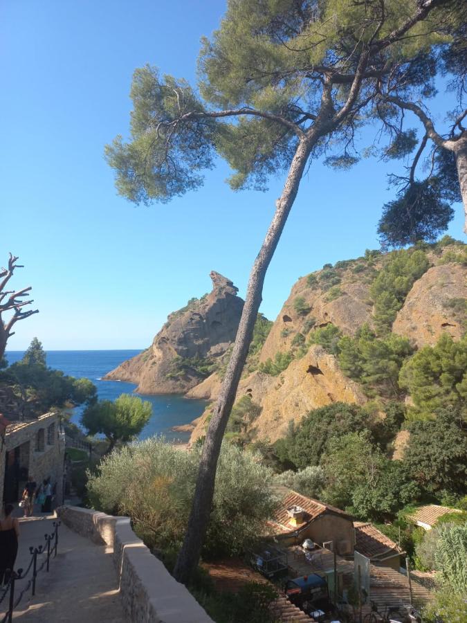 Joli appartement sur le port proche des plages ! - B&B La Ciotat