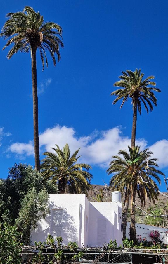 Ferienwohnung mit Panoramablick in der Finca Gran Calma - ideal für Wanderer - B&B Santa Lucía