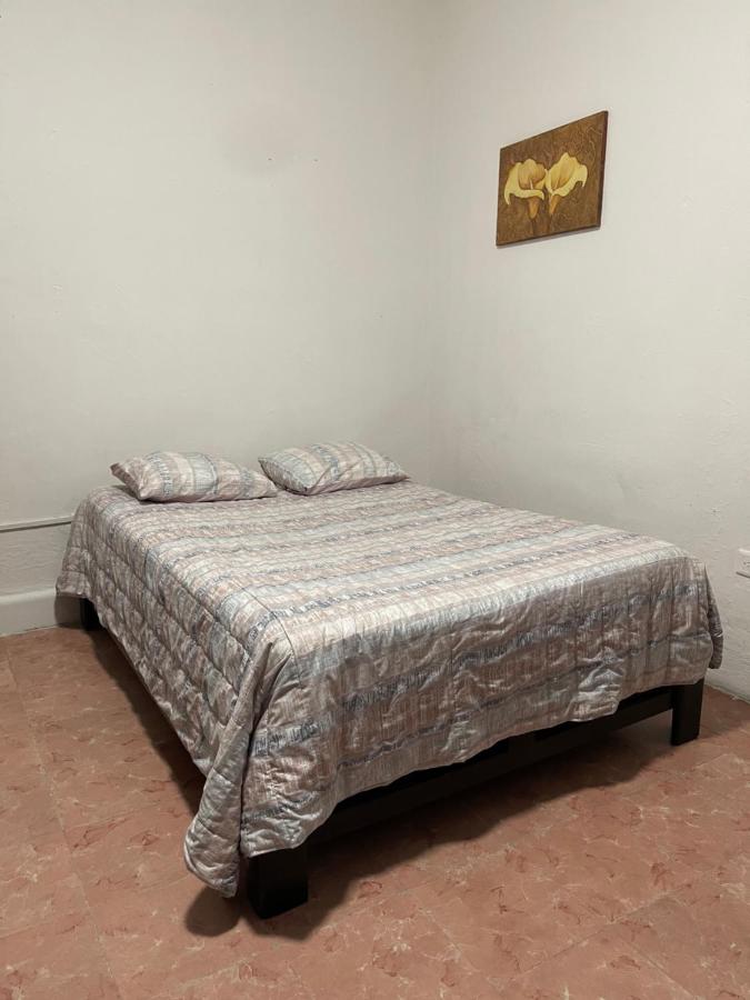 Apartment in Merida Centro