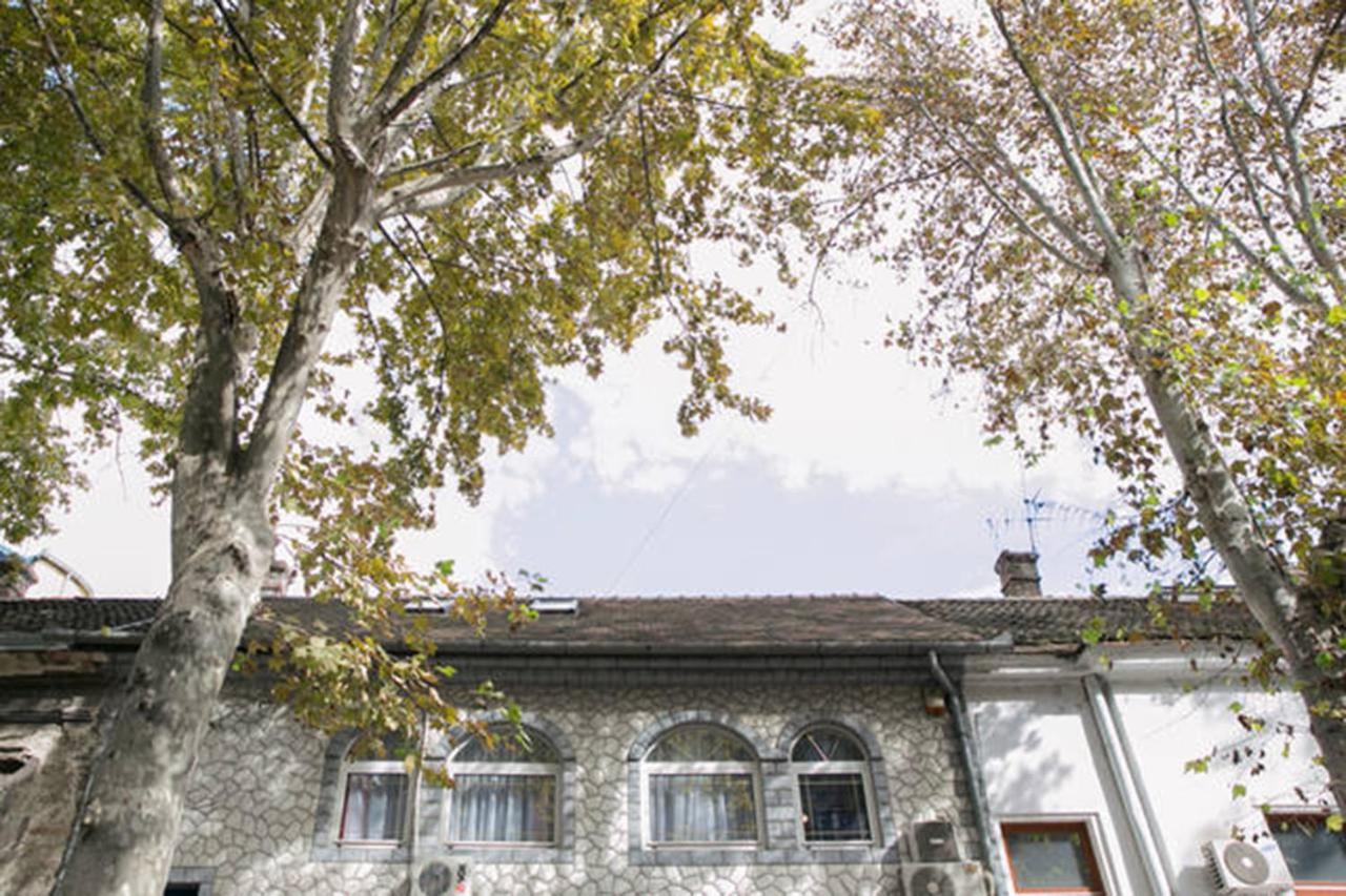 B&B Belgrad - Kona Apartment - Bed and Breakfast Belgrad