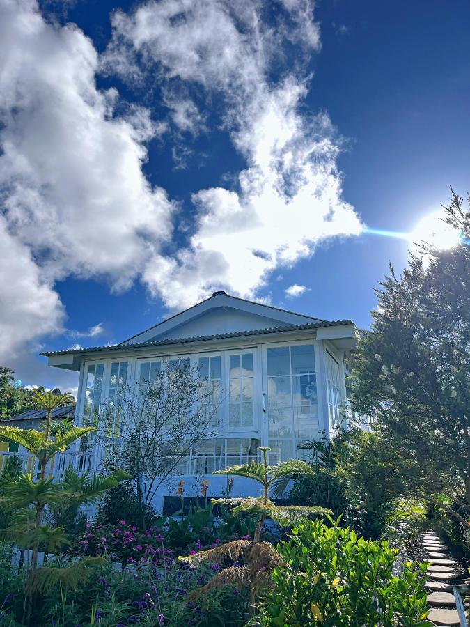 Querencia Cabin - B&B Gitgit