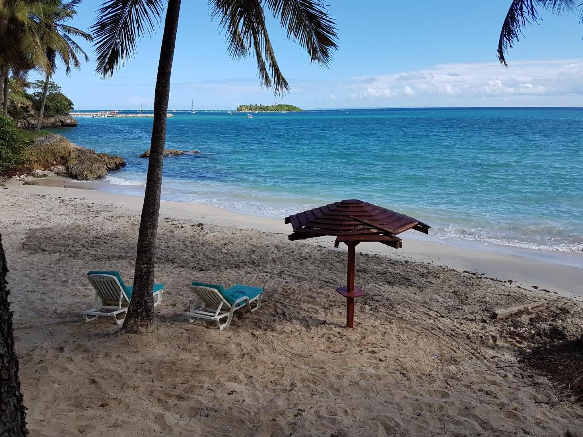 Studio D'Anna - B&B Le Gosier