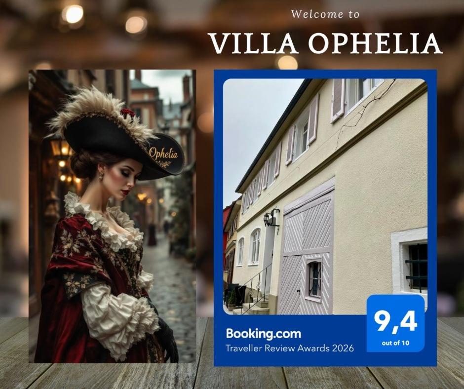 Barocke Stadtvilla Ophelia nahe Europapark 45qm 1,5 Zi Studio - Chambres d'hôtes Ettenheim