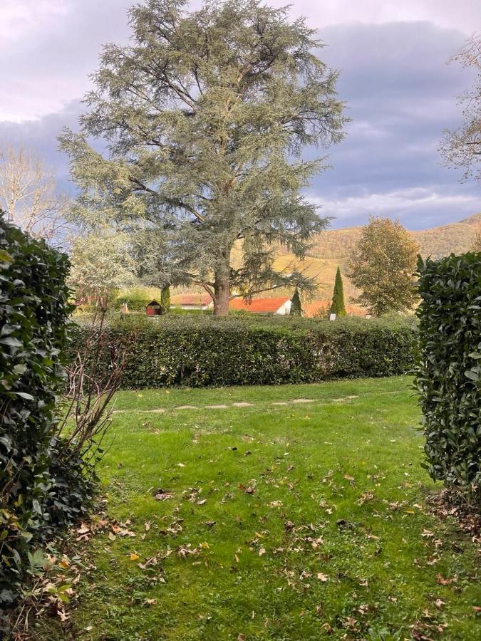 Appartement Meublé Résidence du Parc d'Arradoy - Chambres d’hôtes Saint-Jean-Pied-de-Port