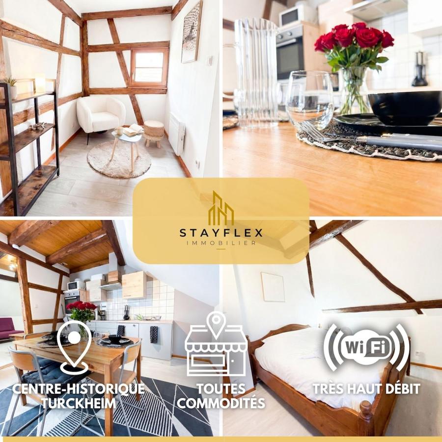 Duplex du Vigneron - Turckheim Center - B&B Turckheim