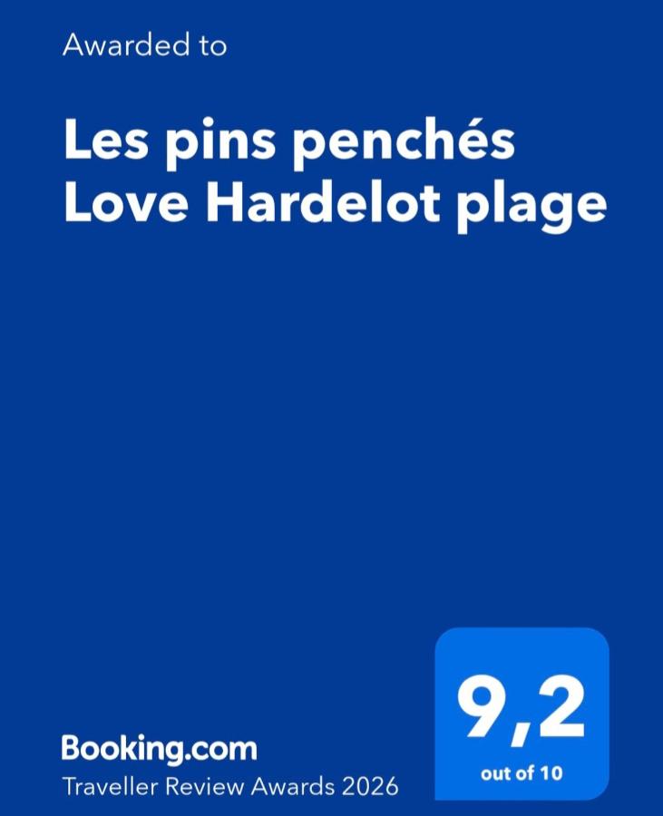 Les pins penchés Love Hardelot plage - Chambres d’hôtes Neufchâtel-Hardelot