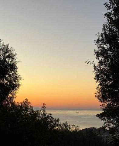 Appartement T3 de charme avec Terrasse - Hauteurs Bastia - B&B Bastia