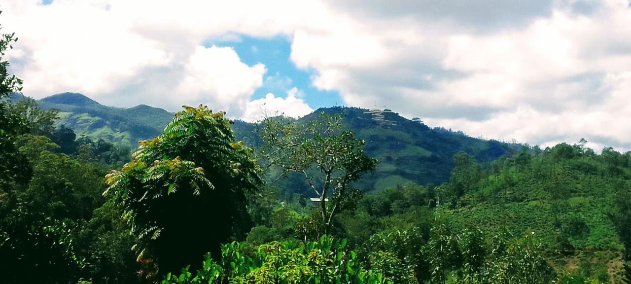 Ella Hushwood - B&B Ella Town