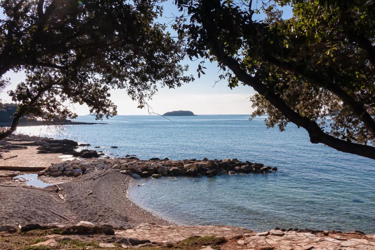 Apartment in Porec - Istrien 36665 - B&B Parenzo