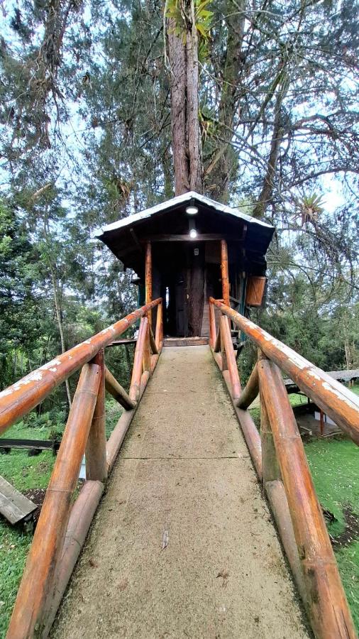 Refugio en el Árbol - B&B Guarne