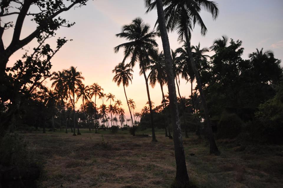 Jardin d'Ulysse & Hard Rock - Chambres d’hôtes Morjim