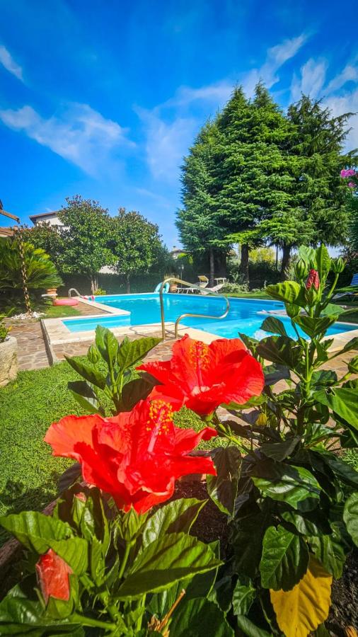 Appartamento Cesare - B&B Manerba del Garda