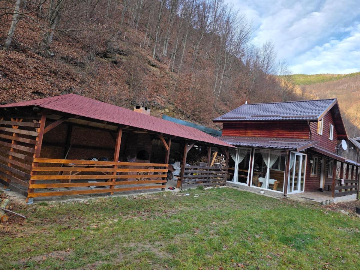 Flowers Cabin - Ferienwohnung Măguri-Răcătău