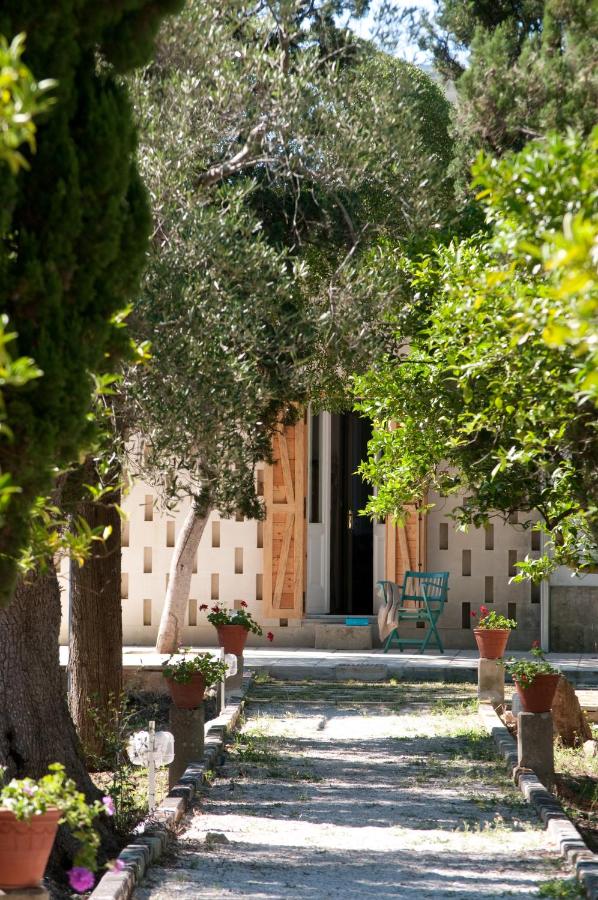 Agriturismo Villa Coluccia - B&B