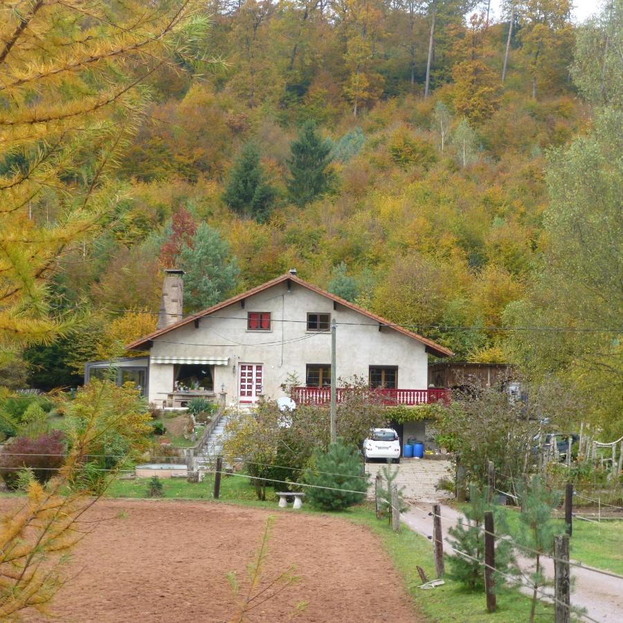 L'échappée verte - gîte equestre 5 pers - Bed and Breakfast