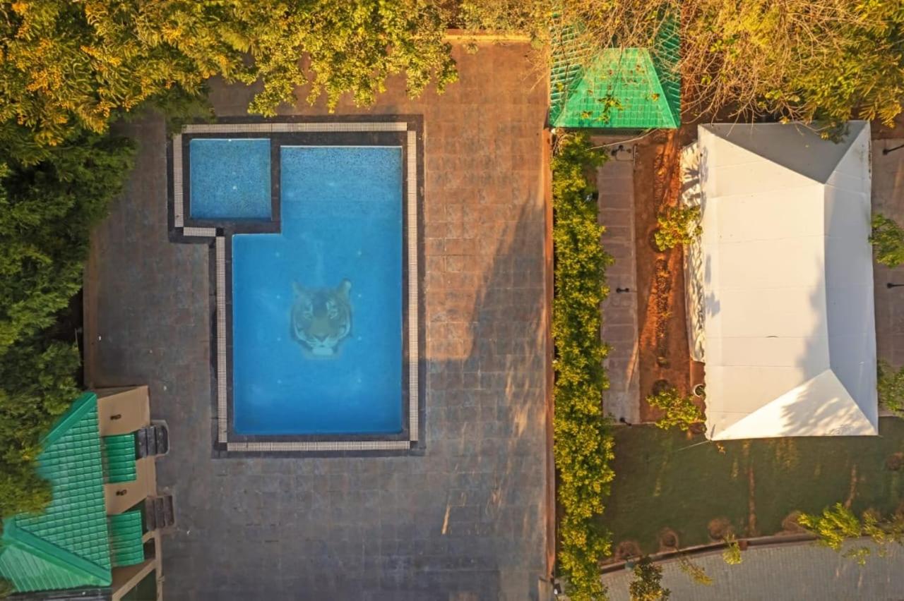 Tiger Woods Ranthambore - B&B Sawai Madhopur