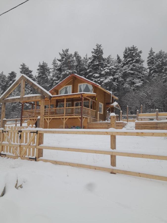Birtvisi Dream House - B&B Abrameti