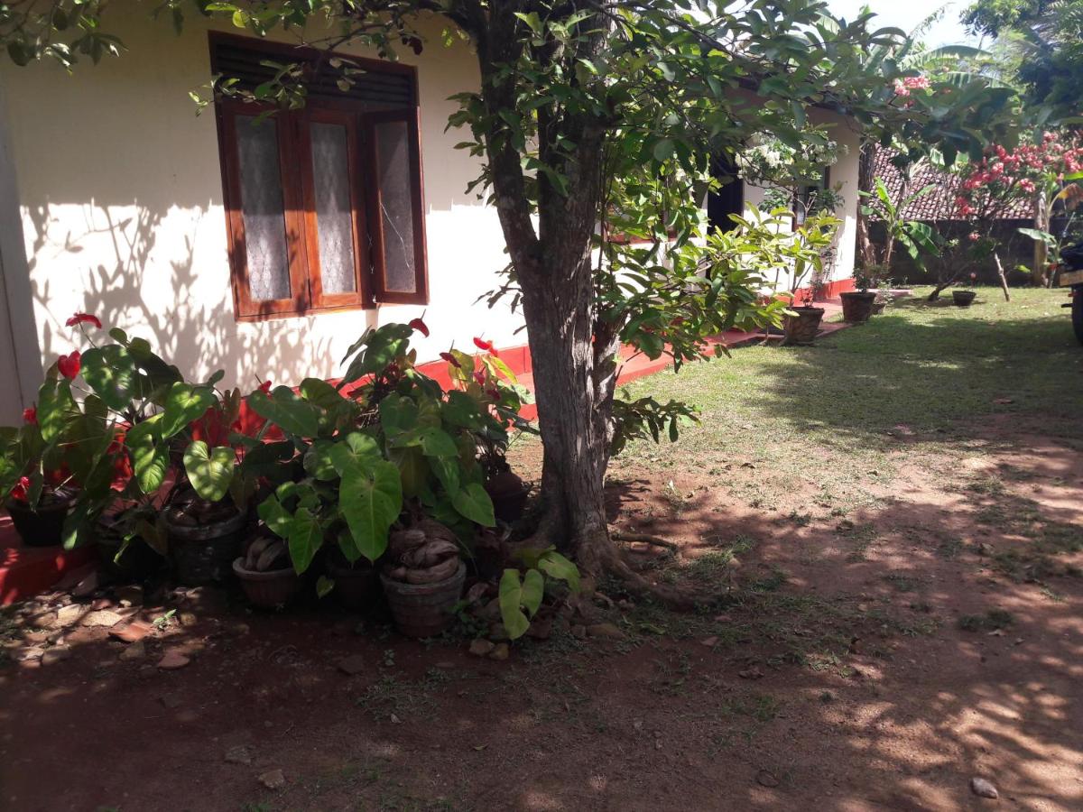 Pradeepa house - B&B