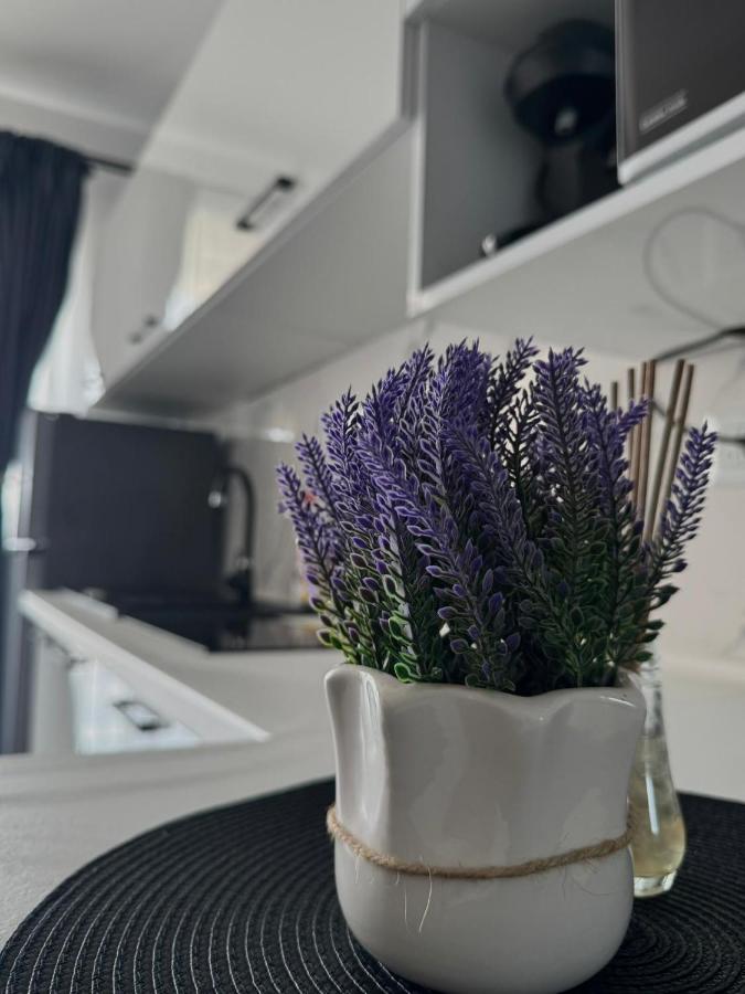 Nubia sea view 2 - B&B Costineşti