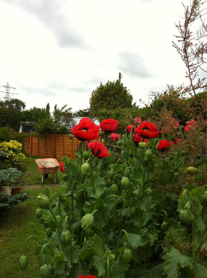 Habitación Triple con vistas al jardín