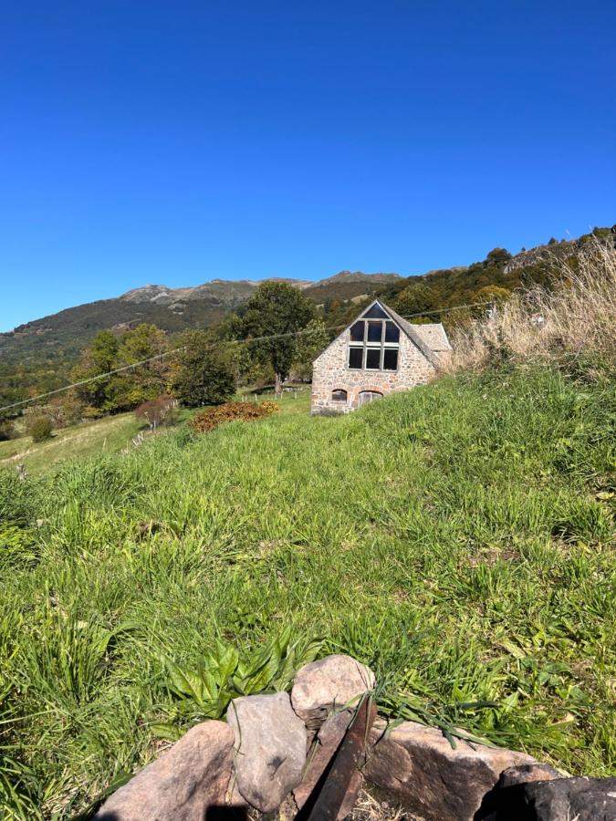 Grange Mary - Chambres d’hôtes Le Falgoux