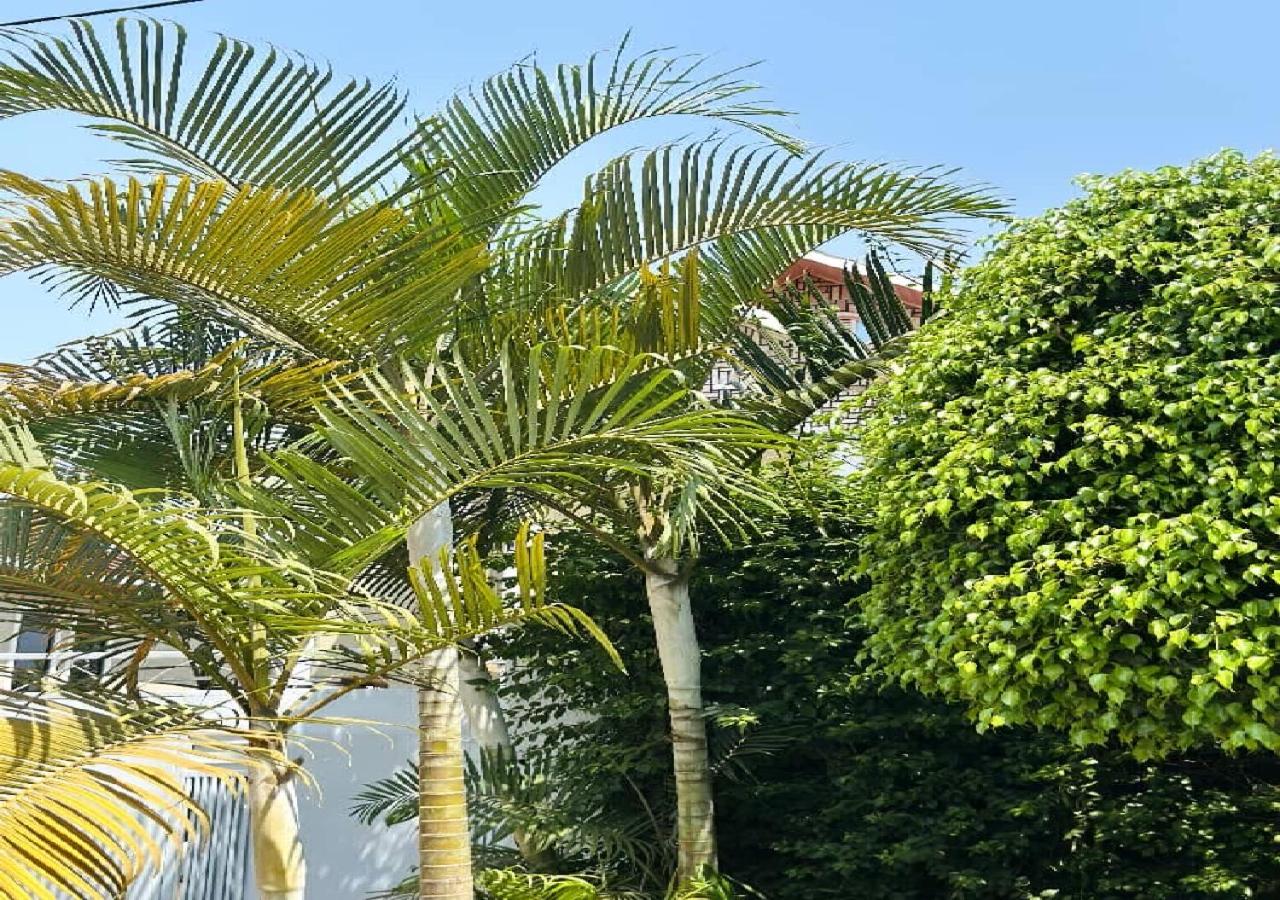 KIGALI GARDEN SUiT AND HOMESTAY