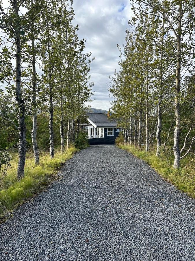 Hólakot Cozy Cottage in the Golden Circle - B&B Selfoss