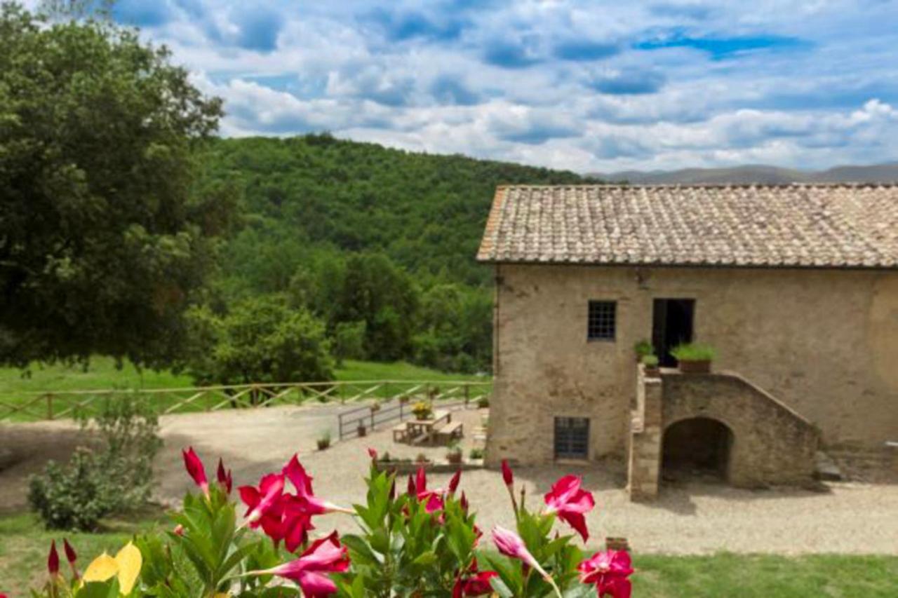Tenuta della Selva - Castellaccio 7 - B&B Murlo