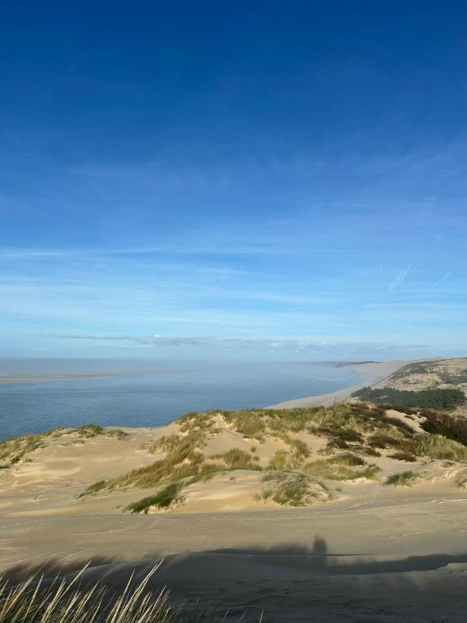 Les Mimosas - B&B Arcachon
