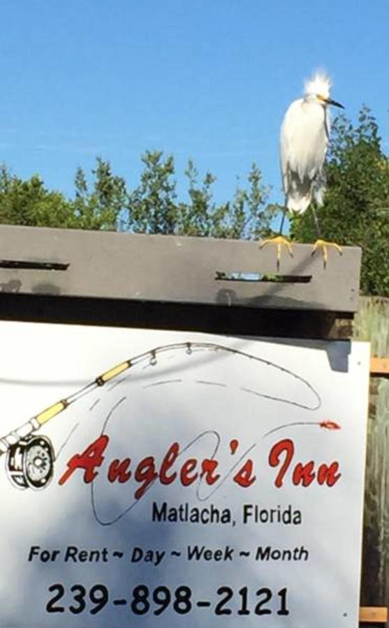 Angler's Inn - B&B Matlacha