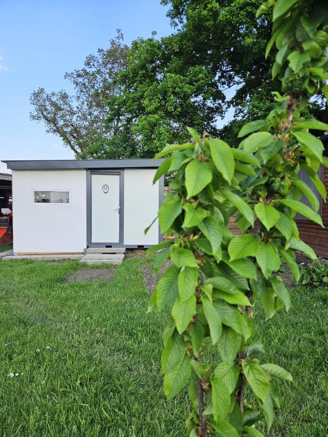 Glamping met paarden - Ferienwohnung Nieuwerkerken