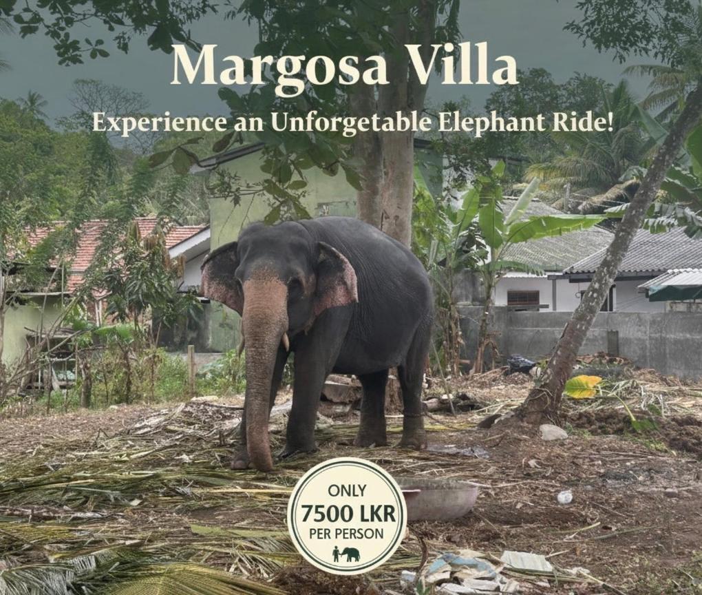 Margosa villa - Chambres d’hôtes Tangalle