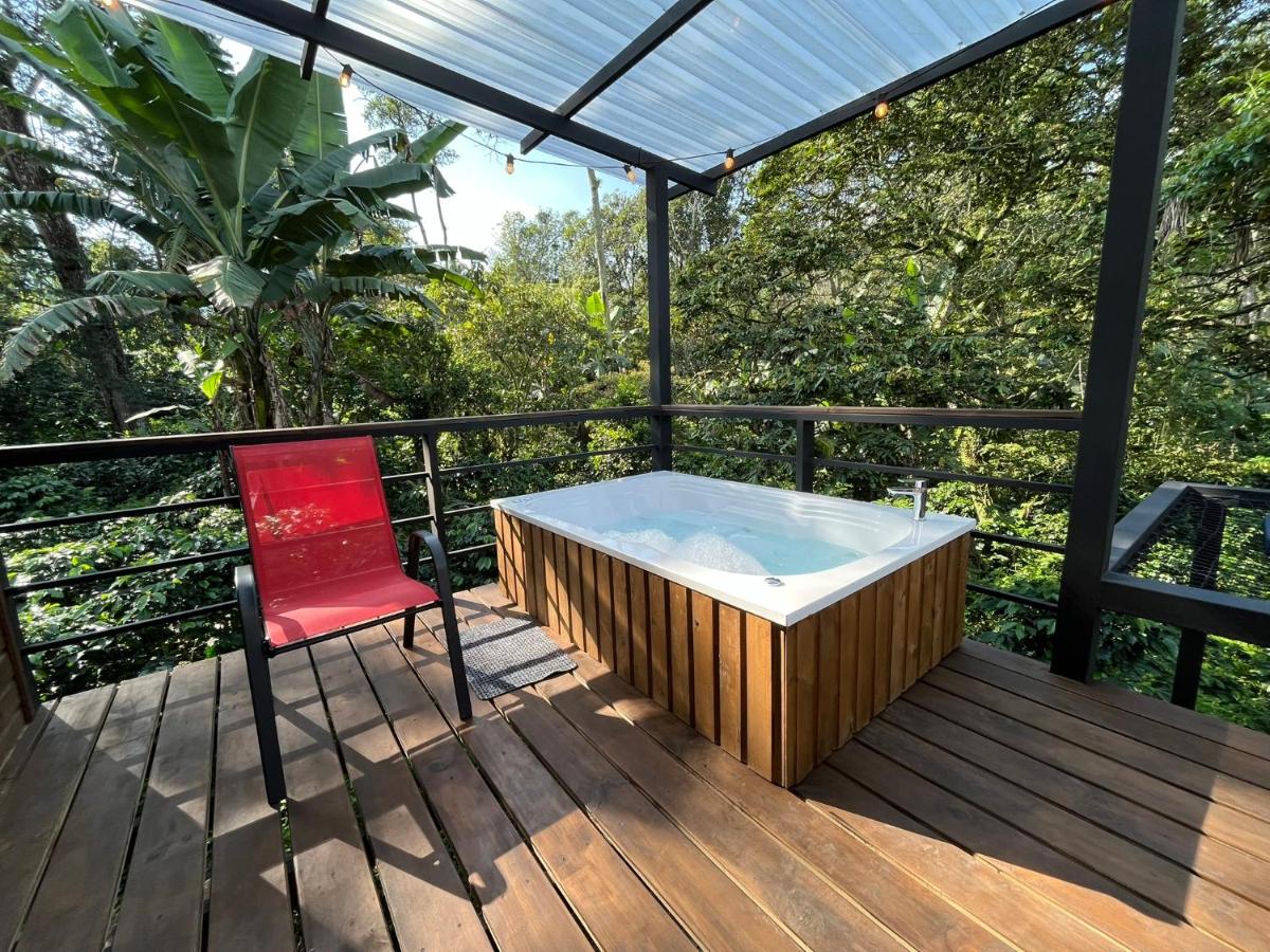 Cabaña tipo glamping en finca cafetera con zonas verdes, avistamiento de aves, paisaje cafetero - Chambres d'hôtes San Francisco
