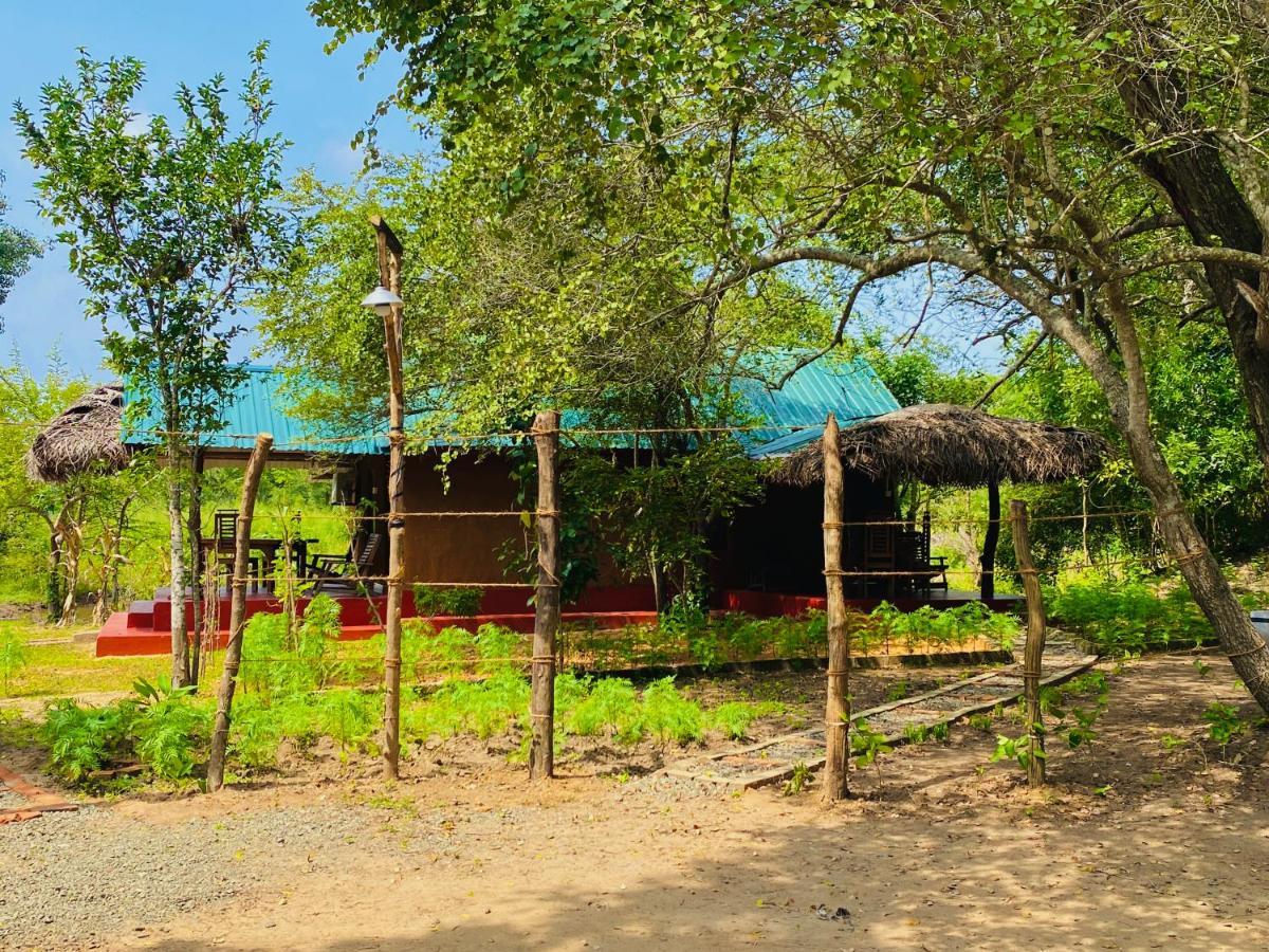 Wilpattu Landa Lodge - B&B Nochchiyagama