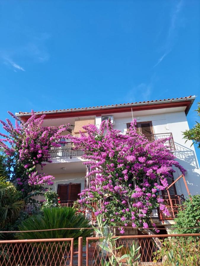 Apartman Marija - B&B Petrcane