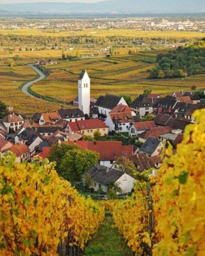 Studio cosy proche Colmar - B&B Katzenthal