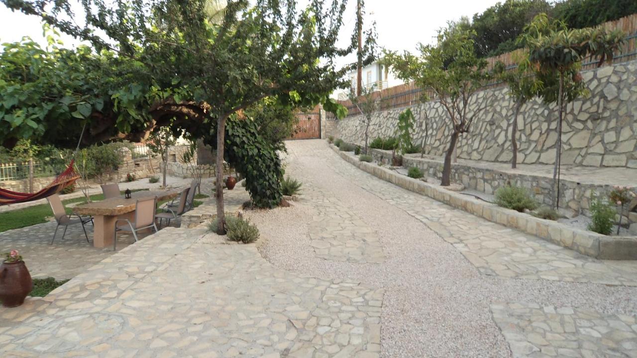 Villa Petra with heated pool - B&B