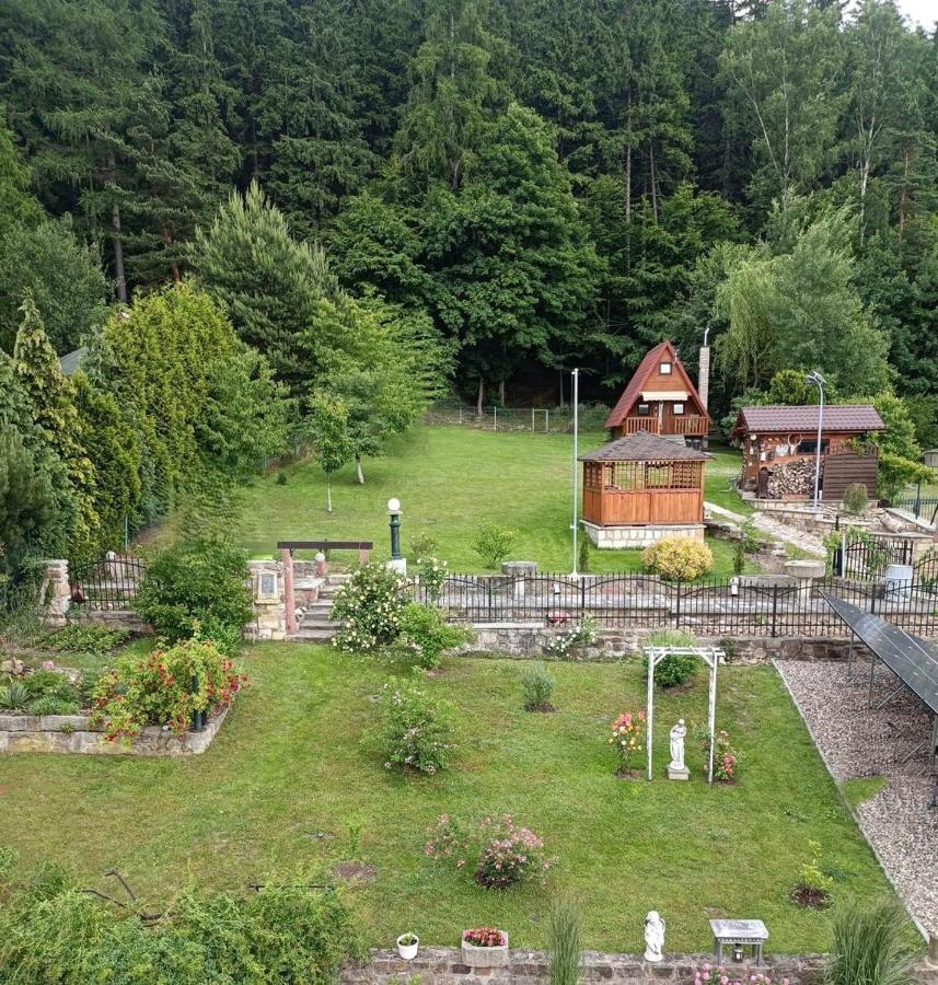 Zamek w Zasięgu Wzroku - Szczytna - Chambres d'hôtes Szczytna