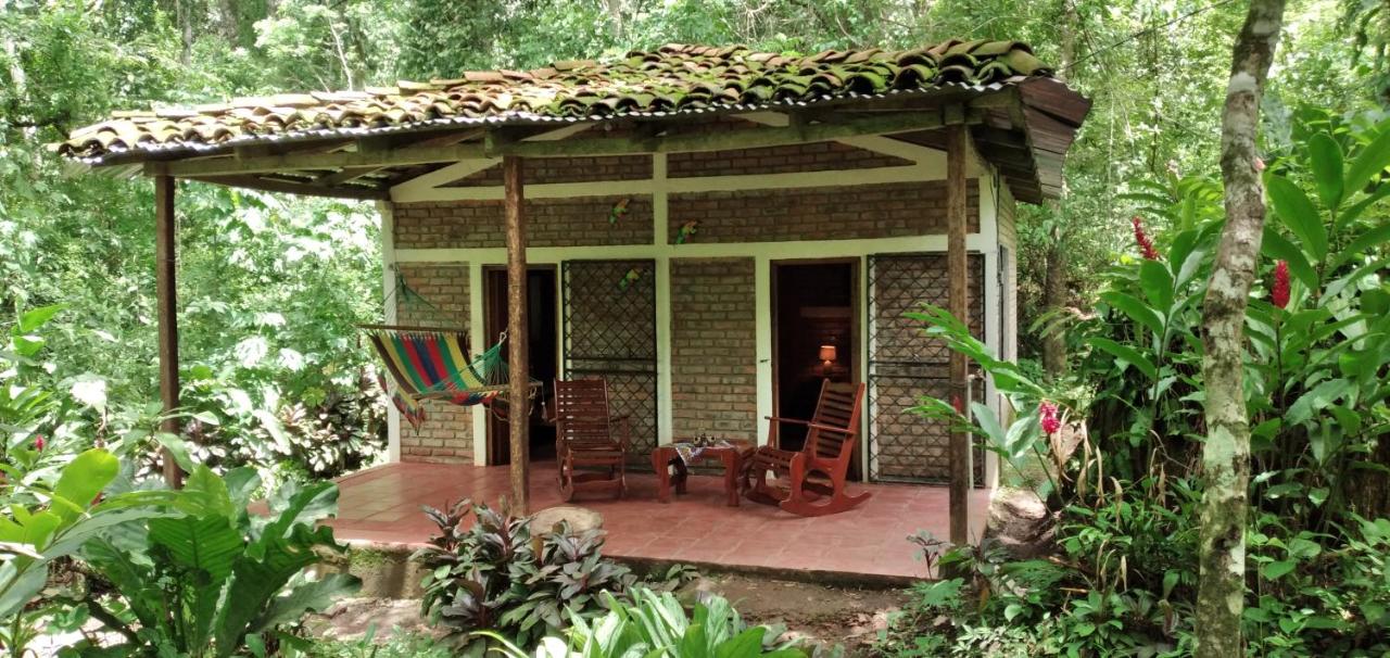 Jungle Cabins El Escondido - B&B Muy Muy