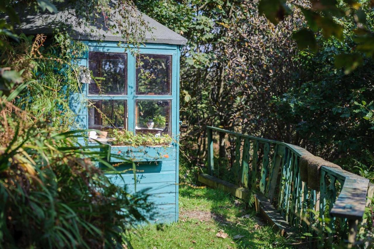 3 Bed in Dinas oc-lazyno - Bed and Breakfast Dinas
