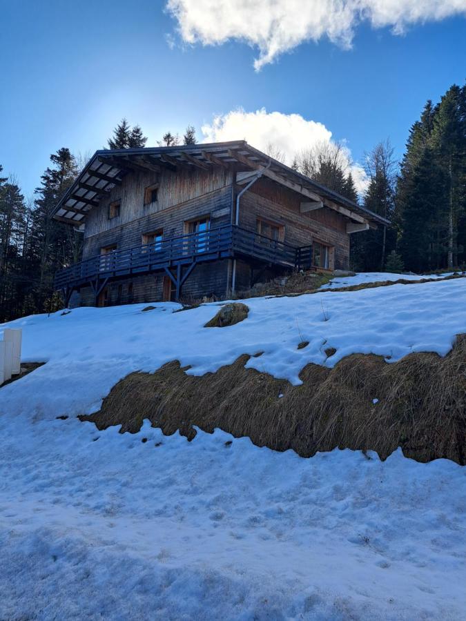 Chalet Le Belvédère, vue exceptionnelle dans les Hautes Vosges - B&B Ventron