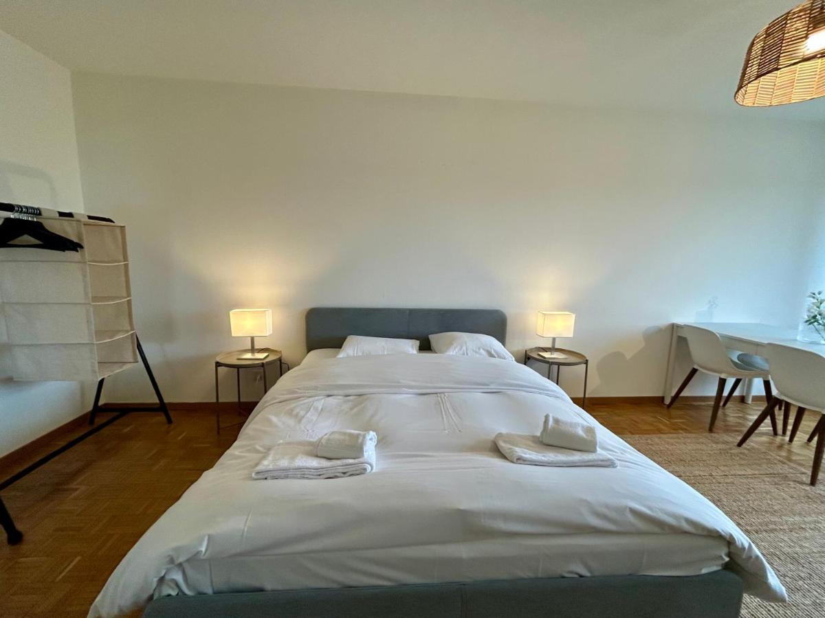 Cozy Studio in Witikon District