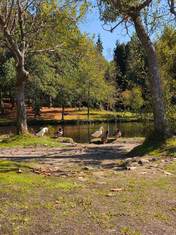 La Casa del Lago Castiñeiras refugio para familias y amigos - Chambres d'hôtes Vilaboa