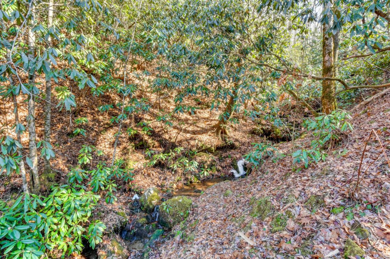 Hot Tub & Streamside Bliss! Topton Mtn Haven - B&B Topton