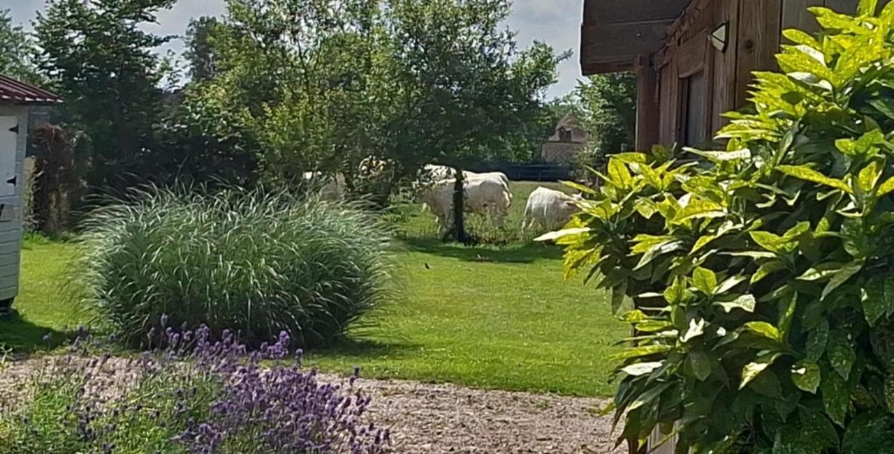 L'échappée belle - Bed and Breakfast Fresne-Cauverville