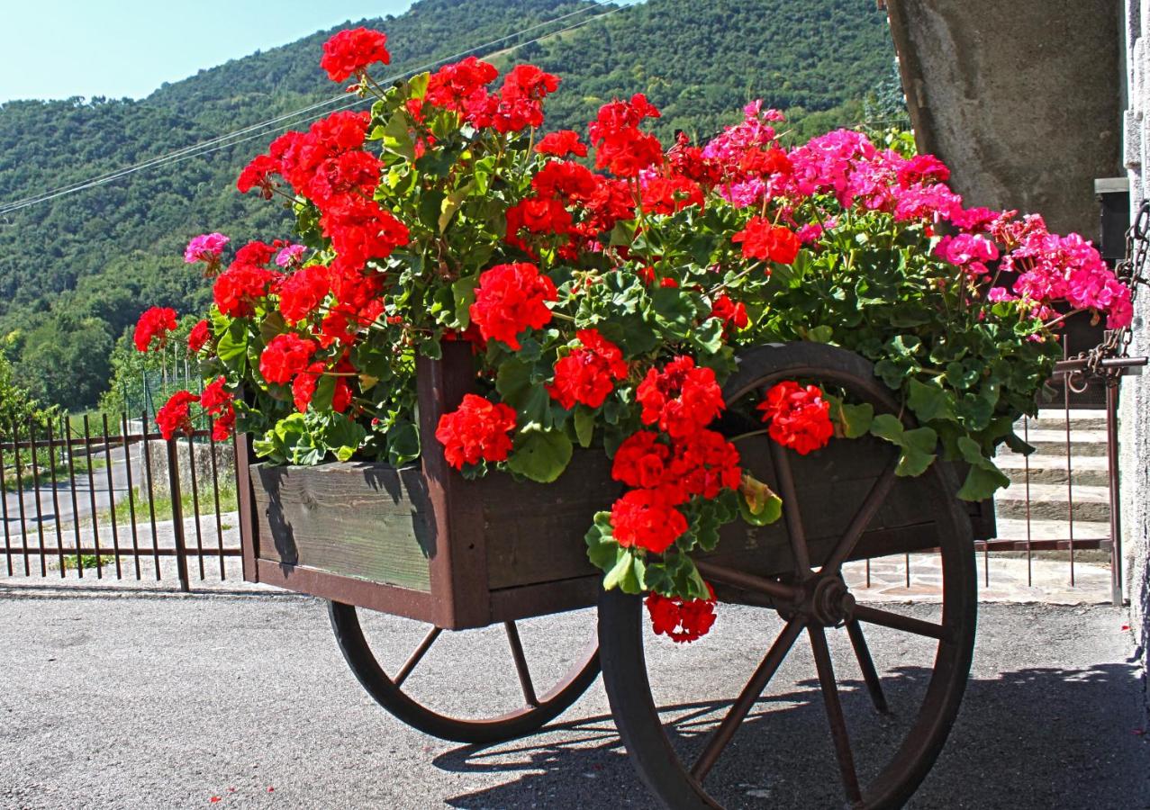 Appartamenti La Tartufaia Country house pool and relax By Gardadomusmea - B&B