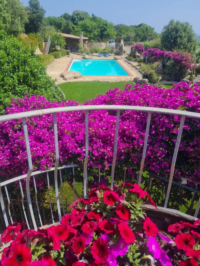 Villa Paradiso con Piscina - Santa Teresa Gallura - Chambres d'hôtes Santa Teresa Gallura